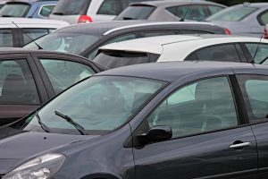 Contactez fourrière